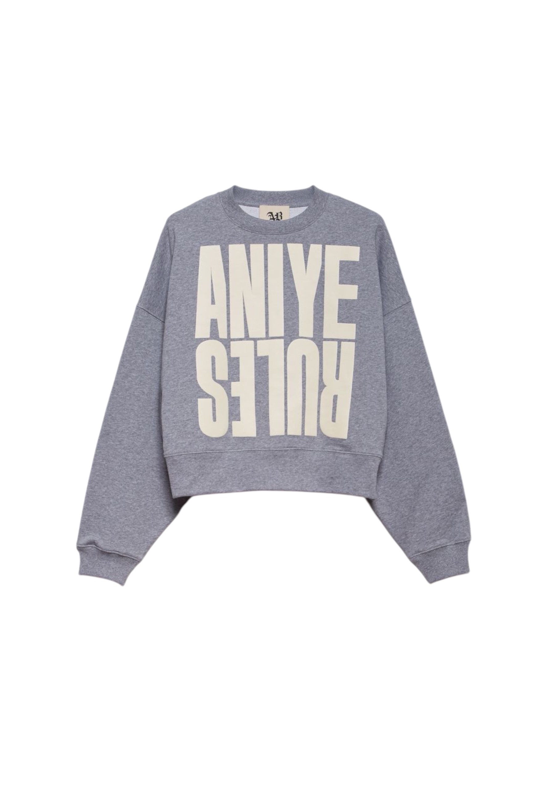 Felpa oversize Donna ANIYE BY con scritta 