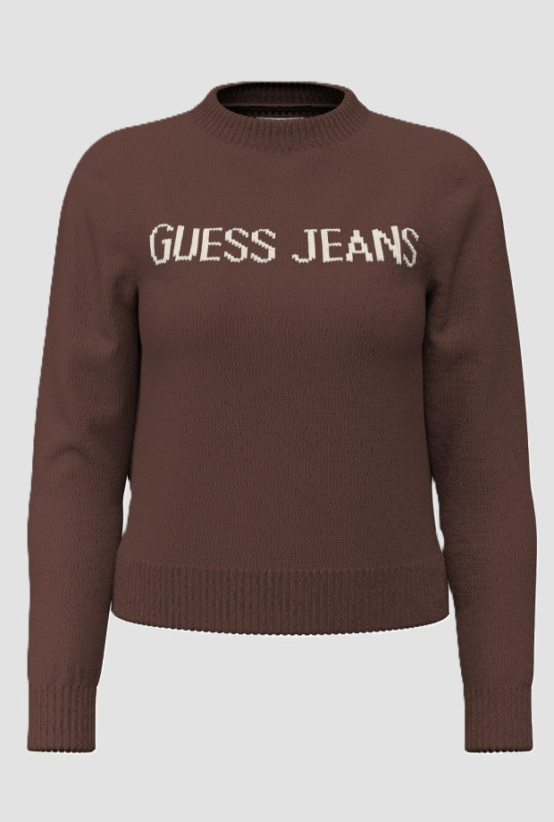 Jersey de mujer marrón