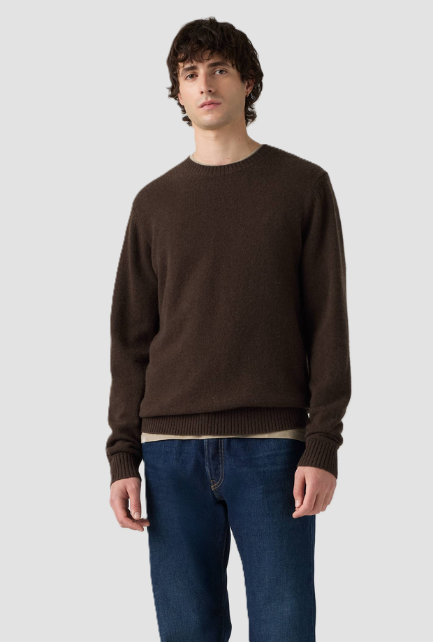 merino hombre marrón