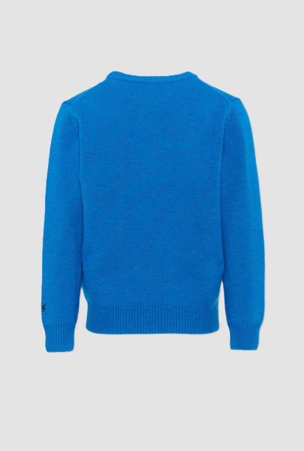 douglas sweater with snoopy baby blue