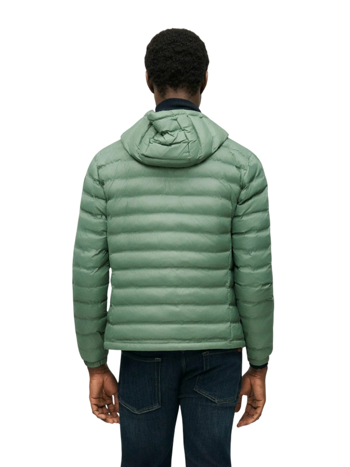 giubbini uomo blauer - charles - verde
