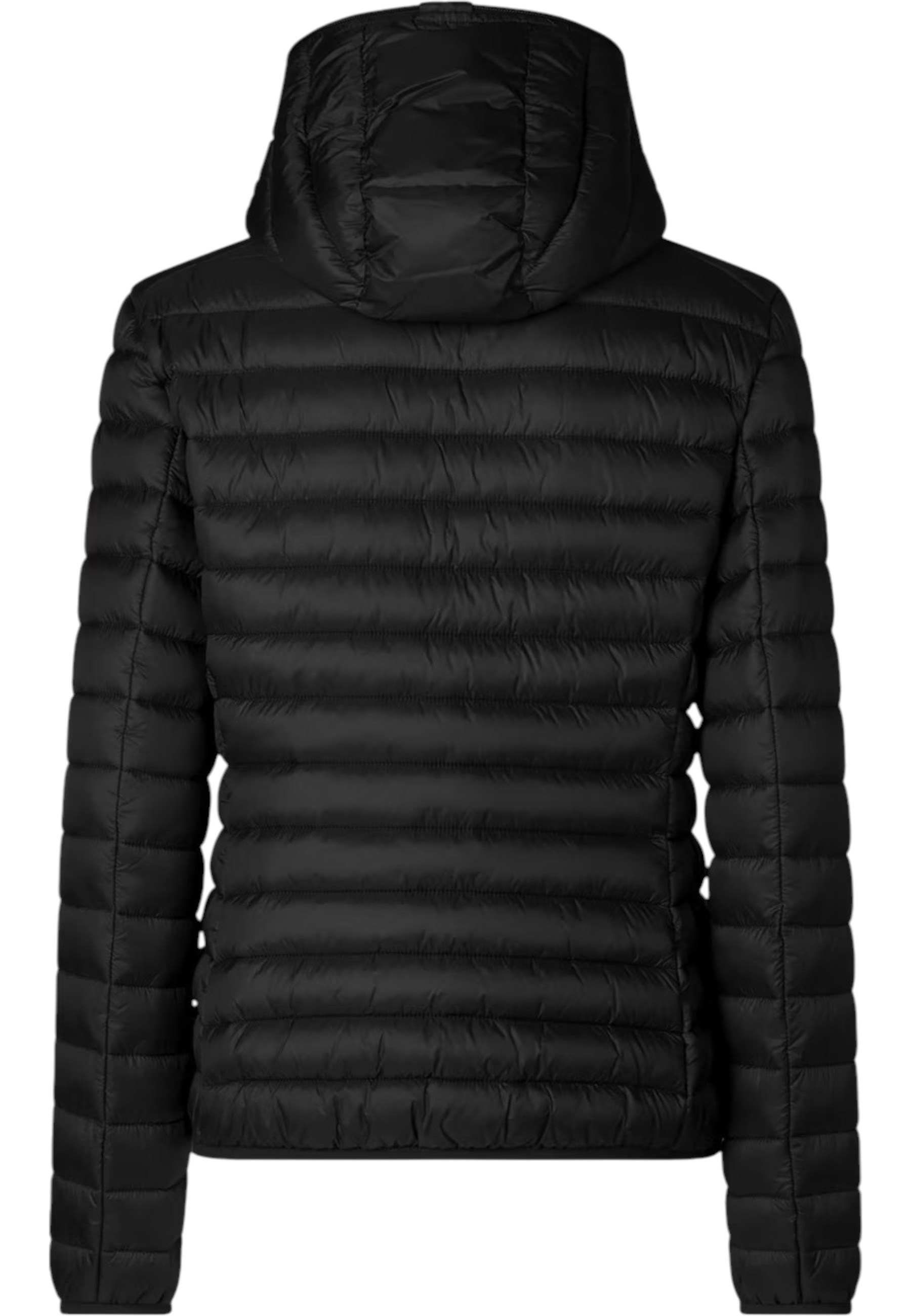 Piumino Donna SAVE THE DUCK d33620w-ne Daisy 