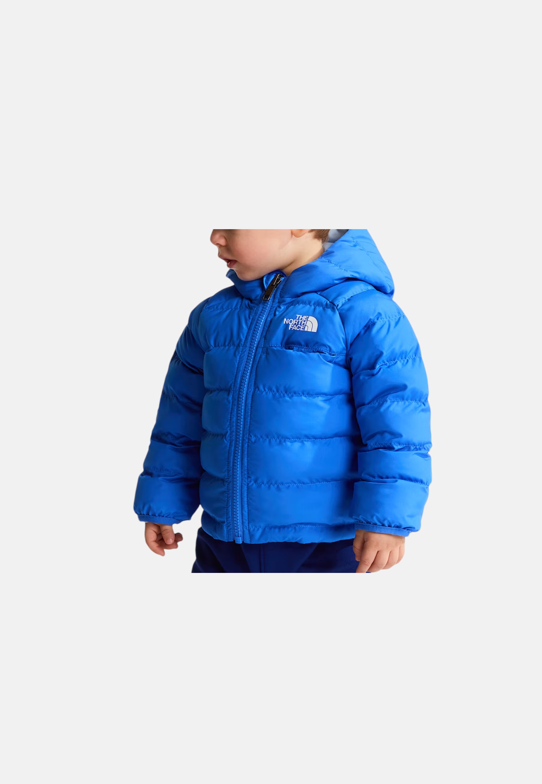 Giubbino Bambino north face NF0A88W3NLQ1 