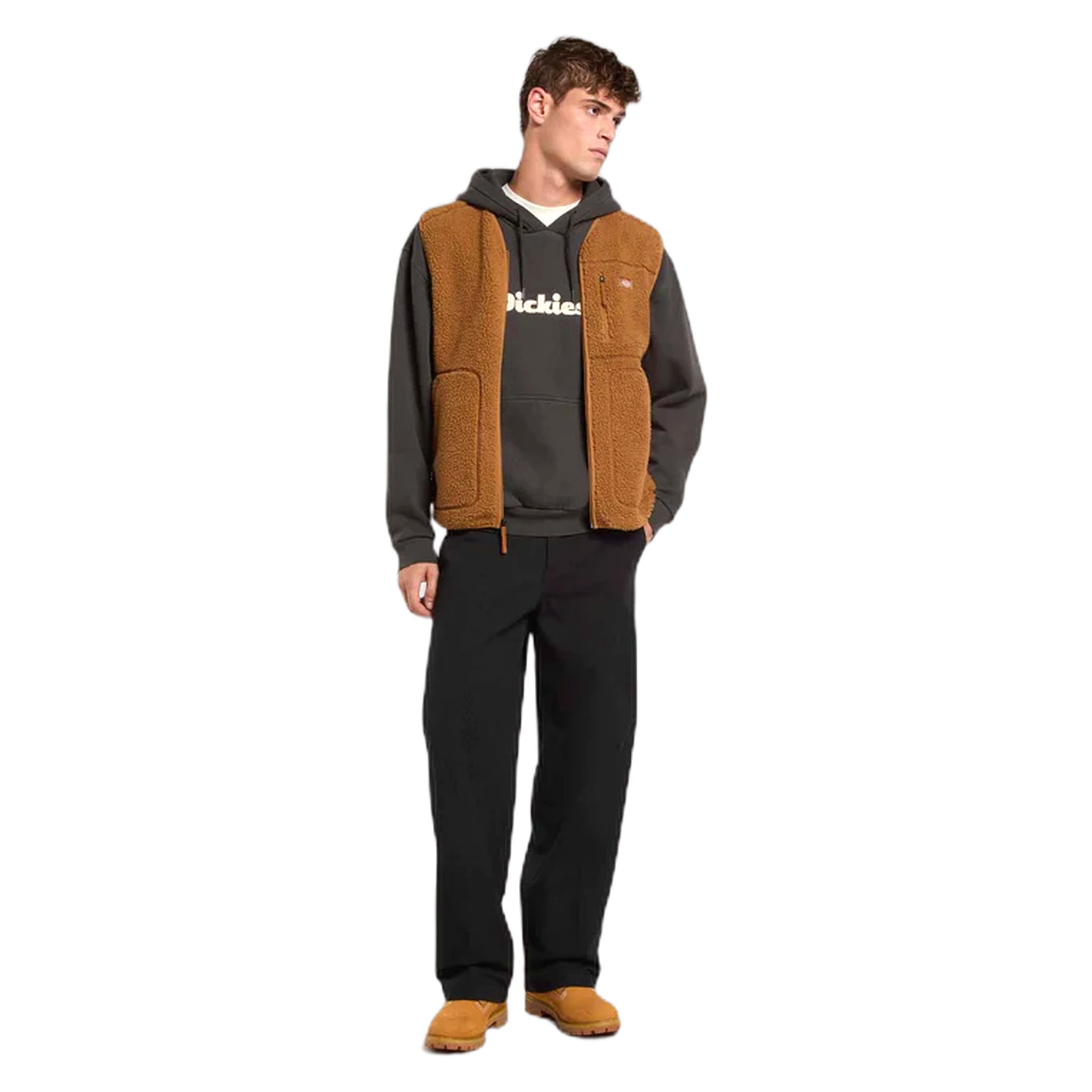 felpa dickies slayden gd hoodie - black