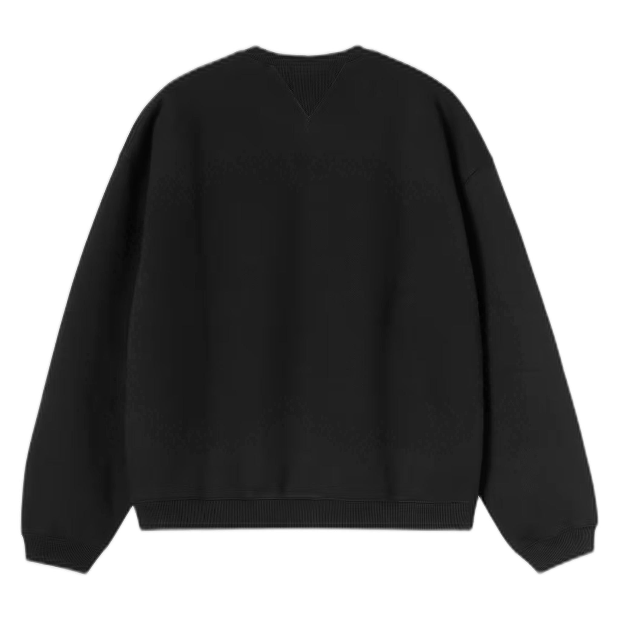 felpa carhartt wip ebbert sweat - black / white