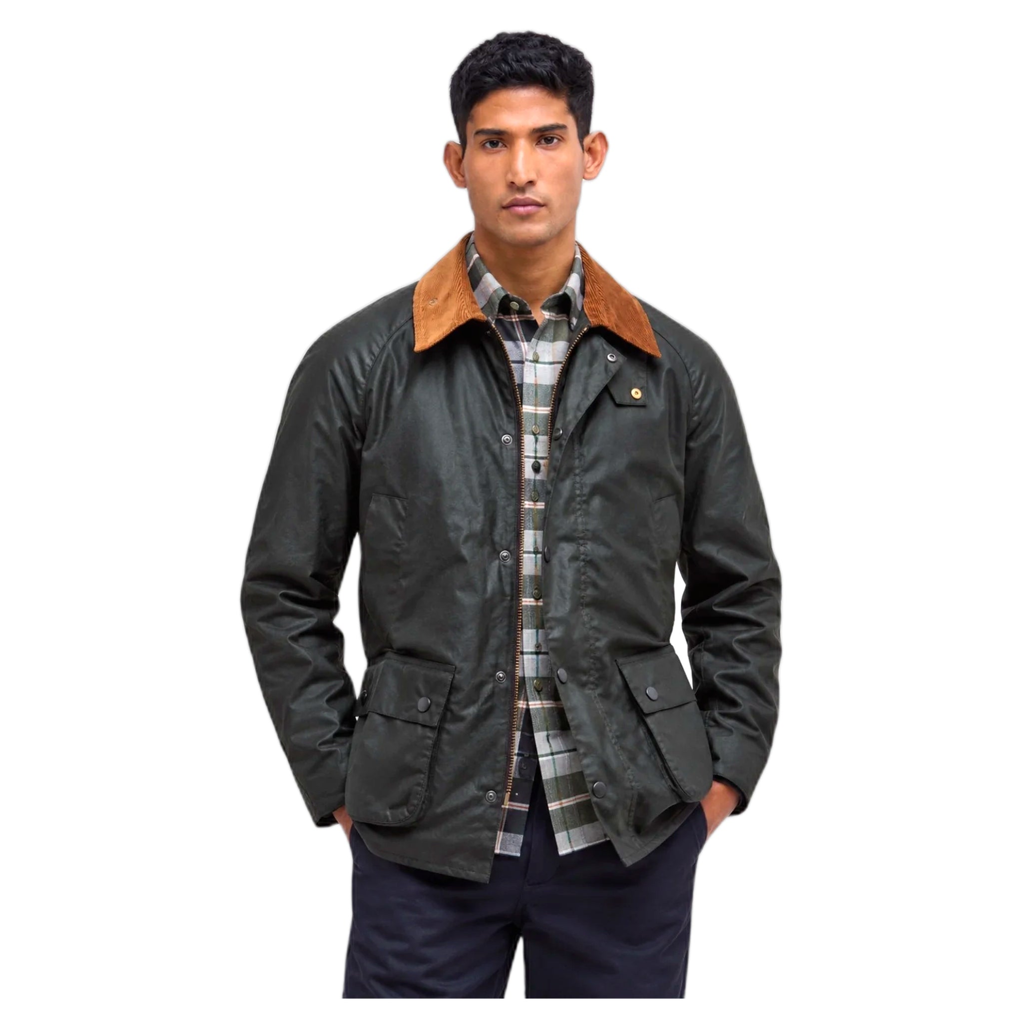 giacca barbour festive ashby wax jacket - sage / evergreen