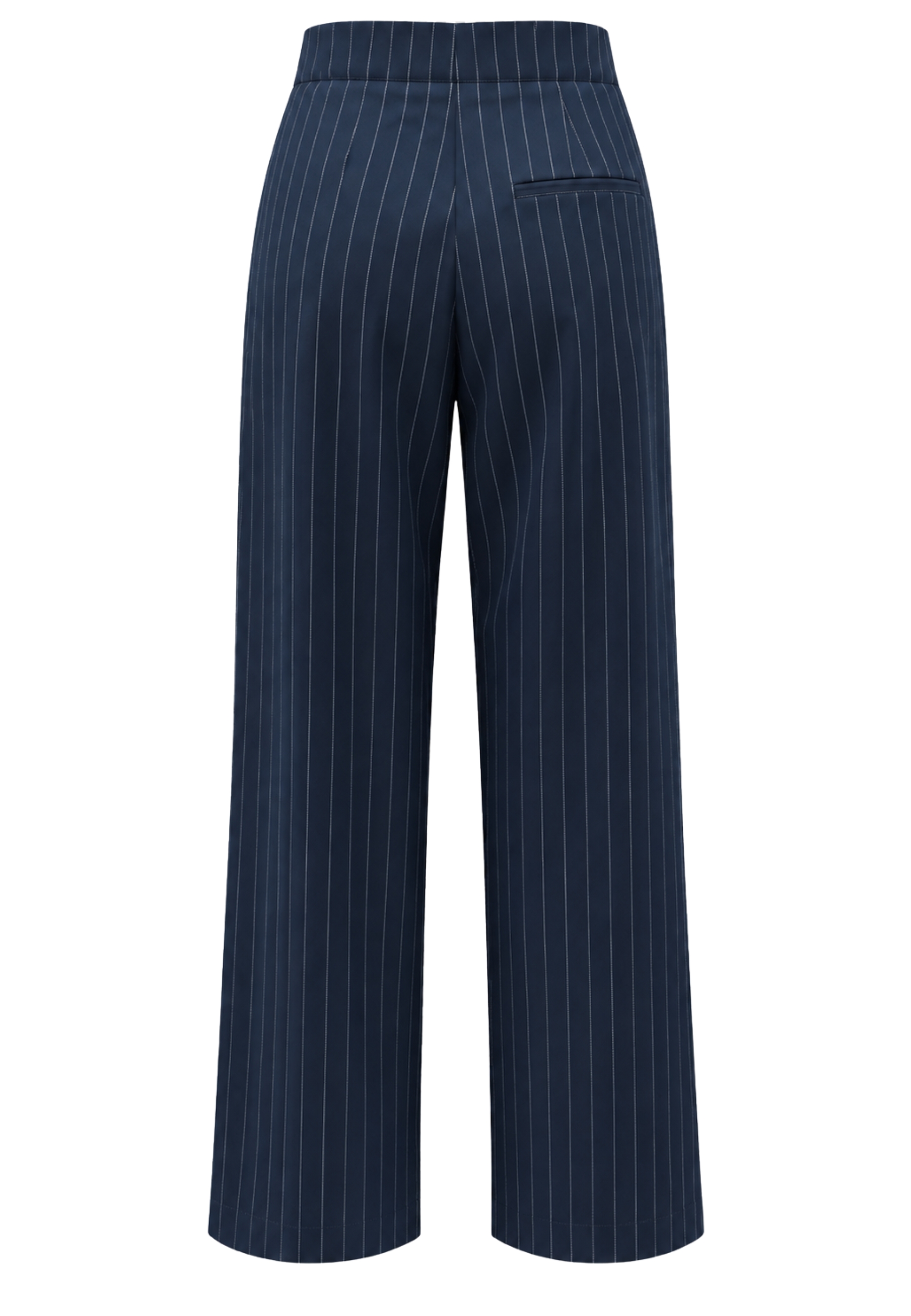 trousers Phisique Du Role gessato