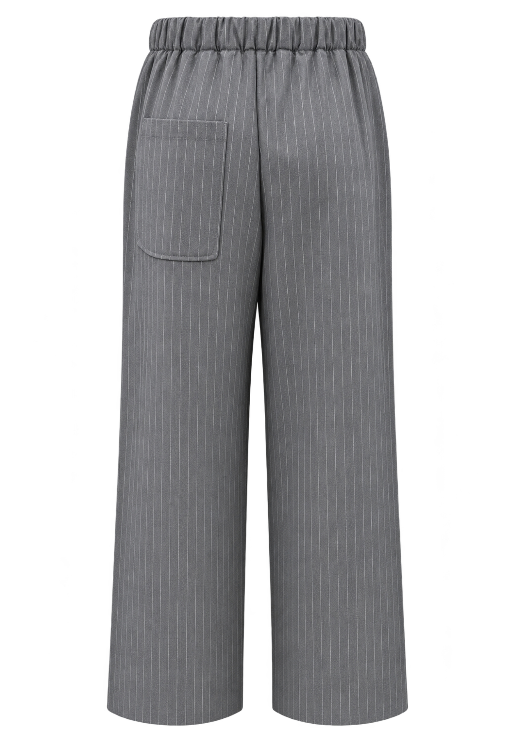 trousers Phisique Du Role gessato