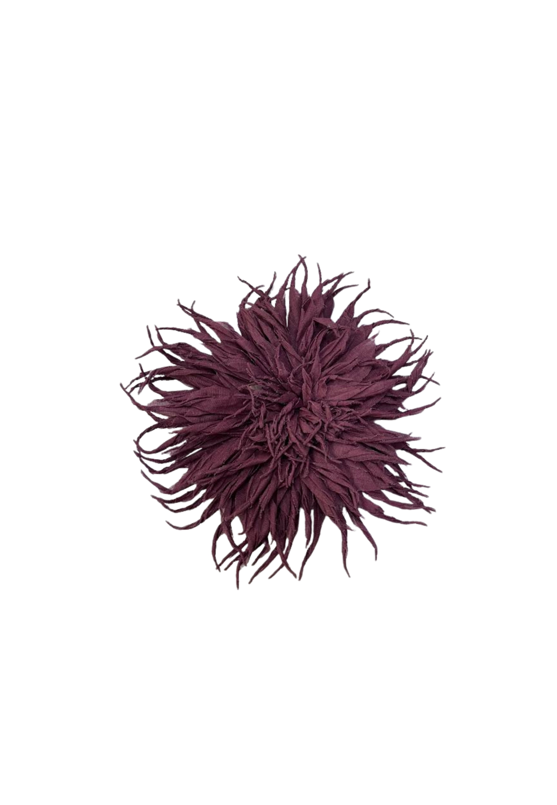SPILLA PHISIQUE DU ROLE FIORE 