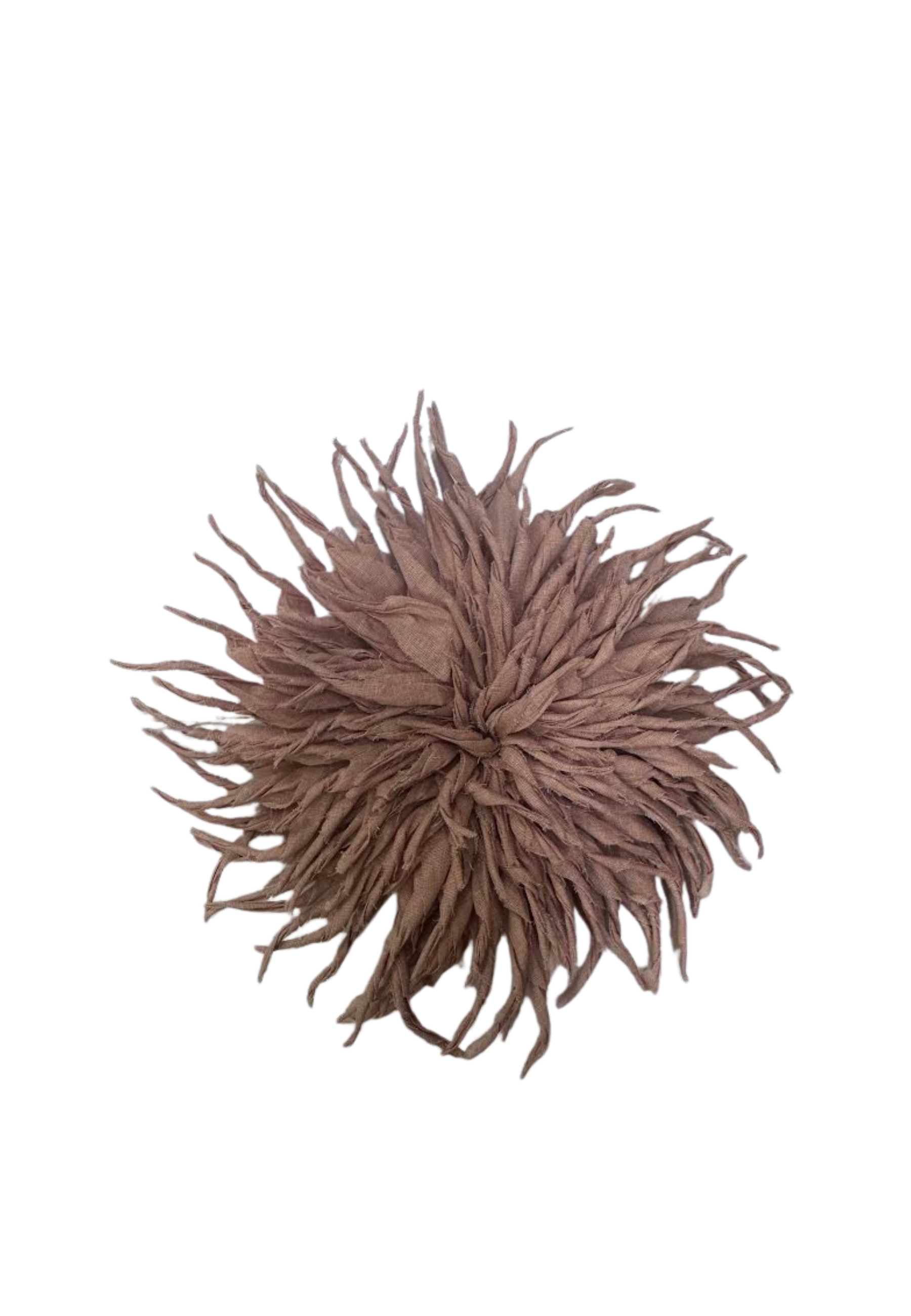 SPILLA PHISIQUE DU ROLE FIORE 