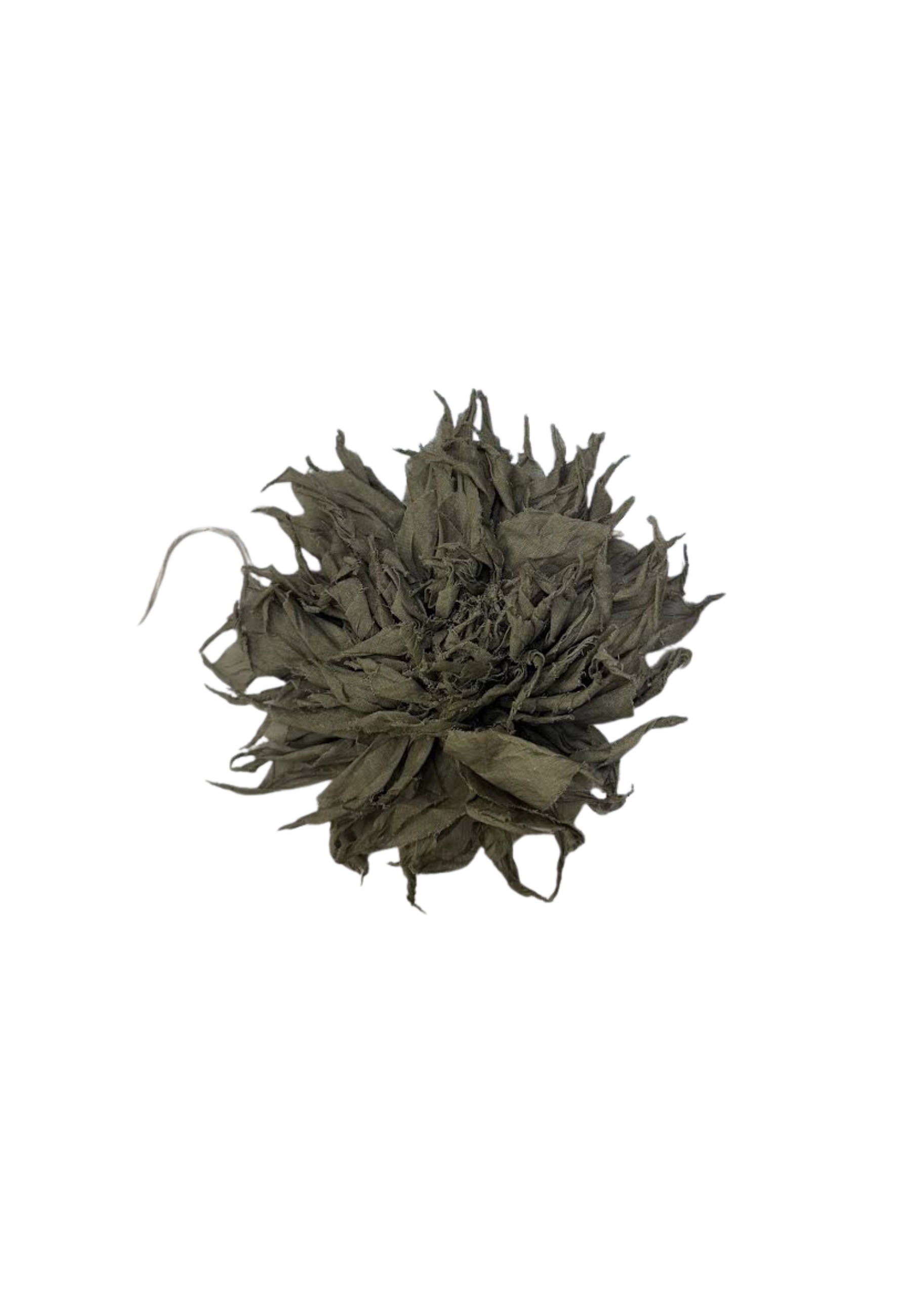 SPILLA PHISIQUE DU ROLE FIORE 