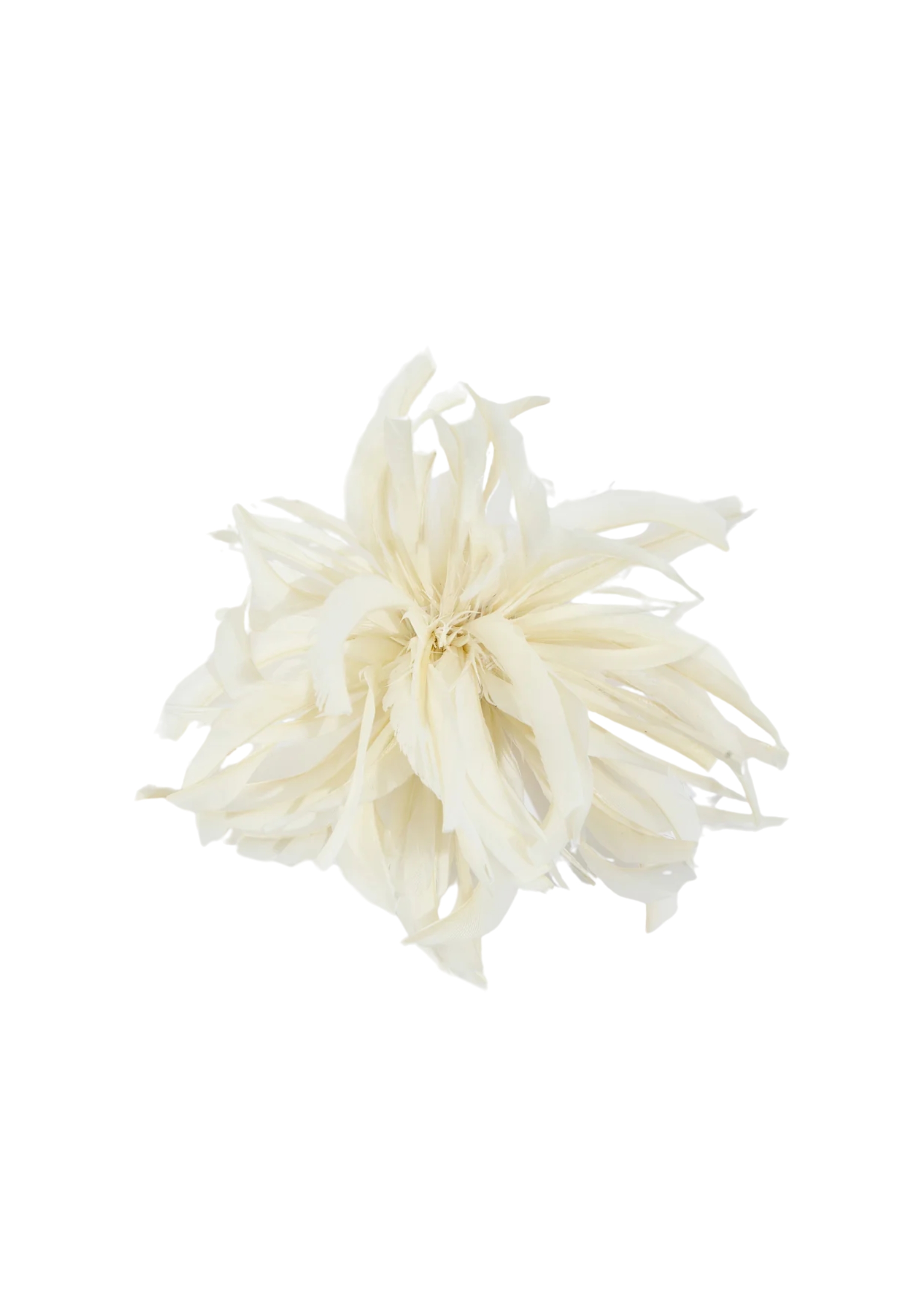 SPILLA ZELMA Liviana Conti 