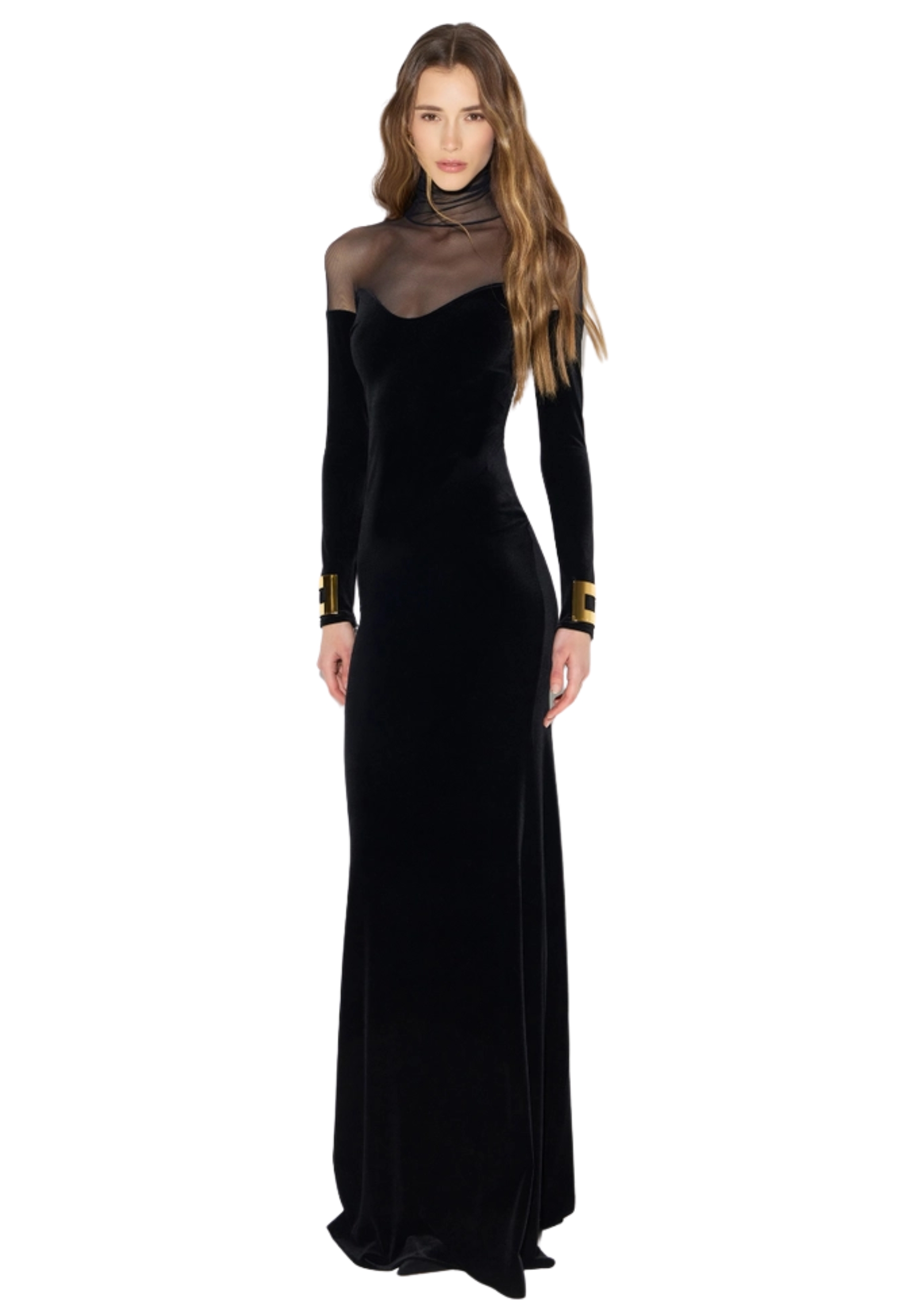 Robe de tapis rouge Elisabetta Franchi velours et tulle