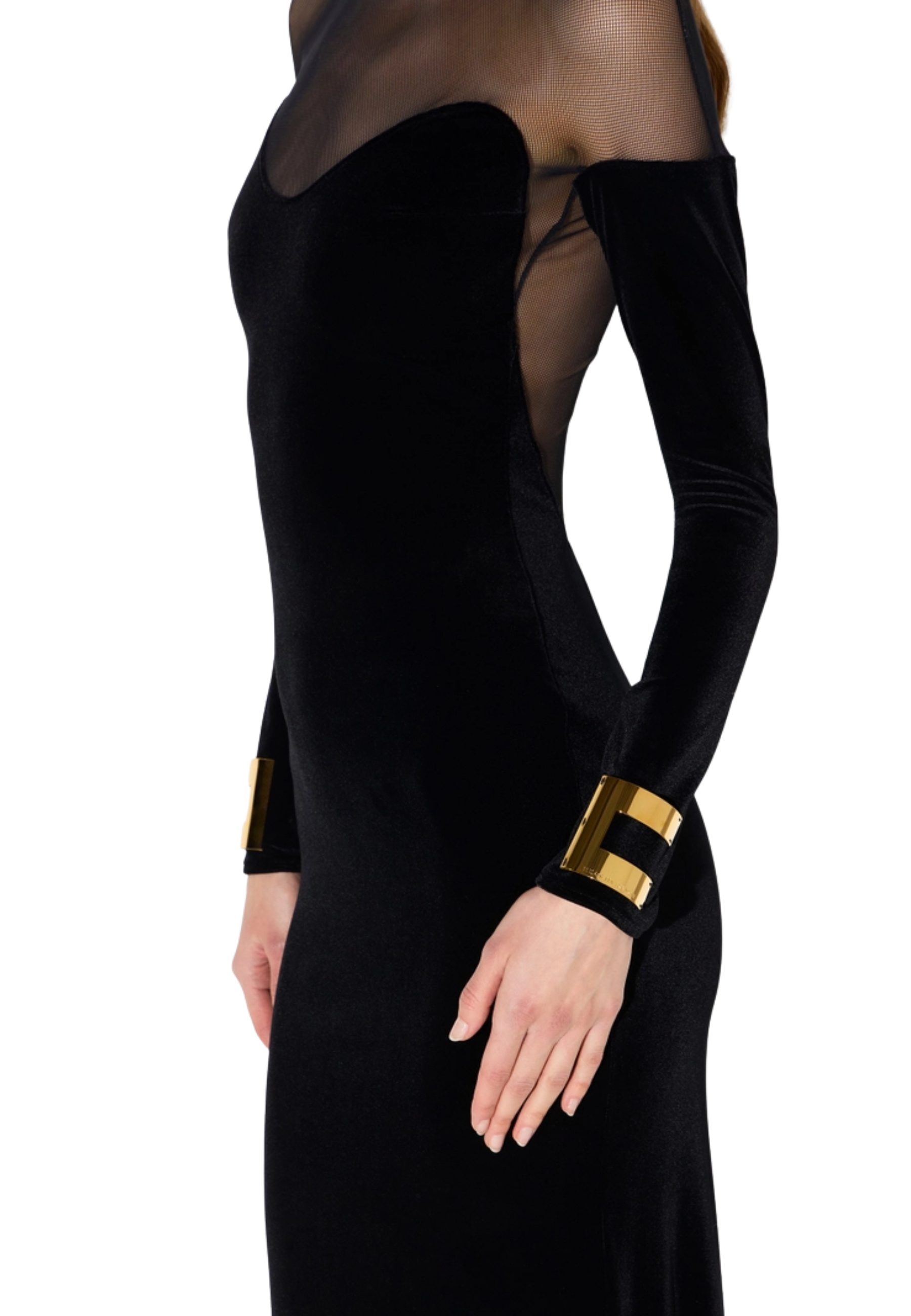 Robe de tapis rouge Elisabetta Franchi velours et tulle