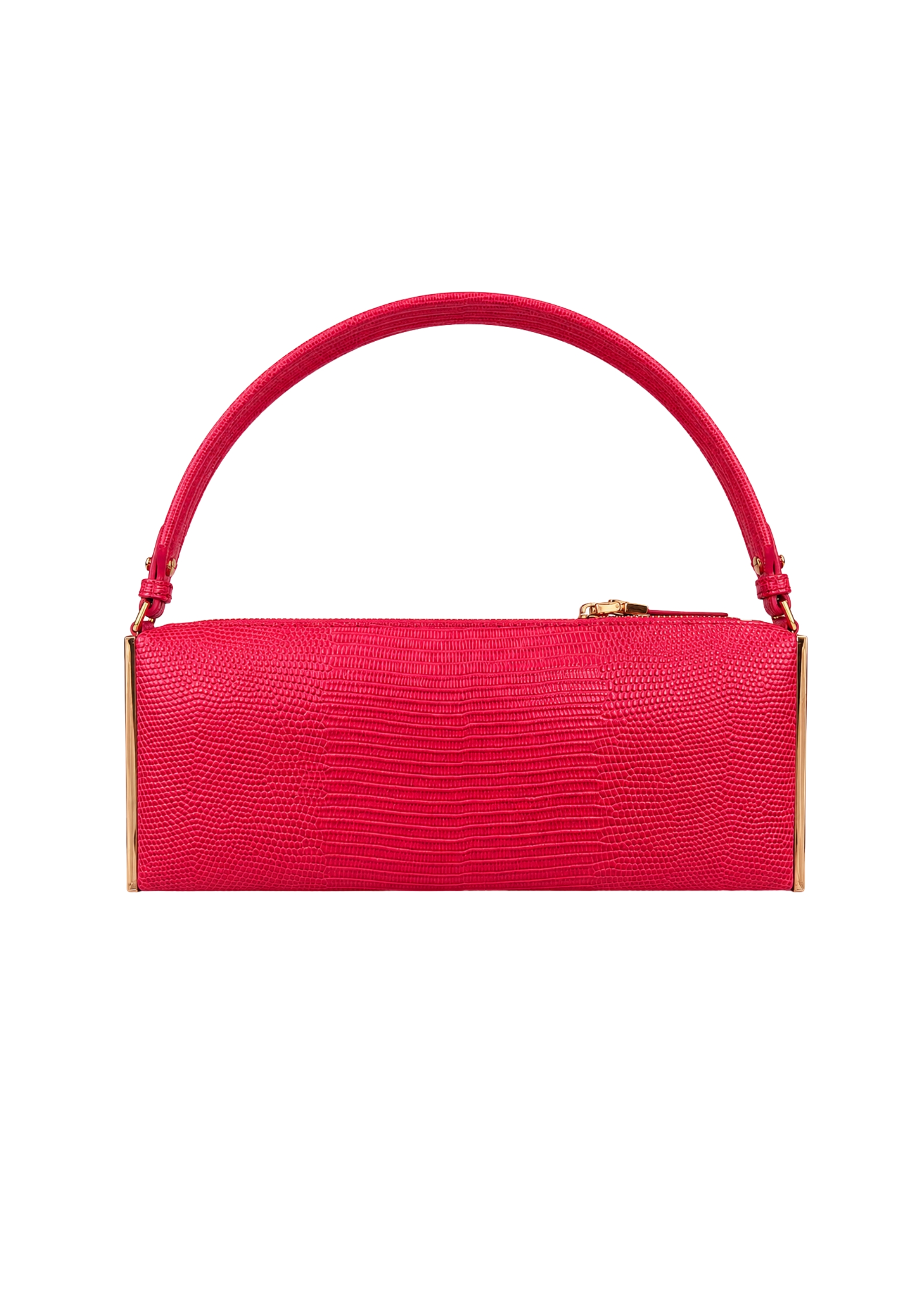 Bolso de hombro Elisabetta Franchi Impresión de lagarto