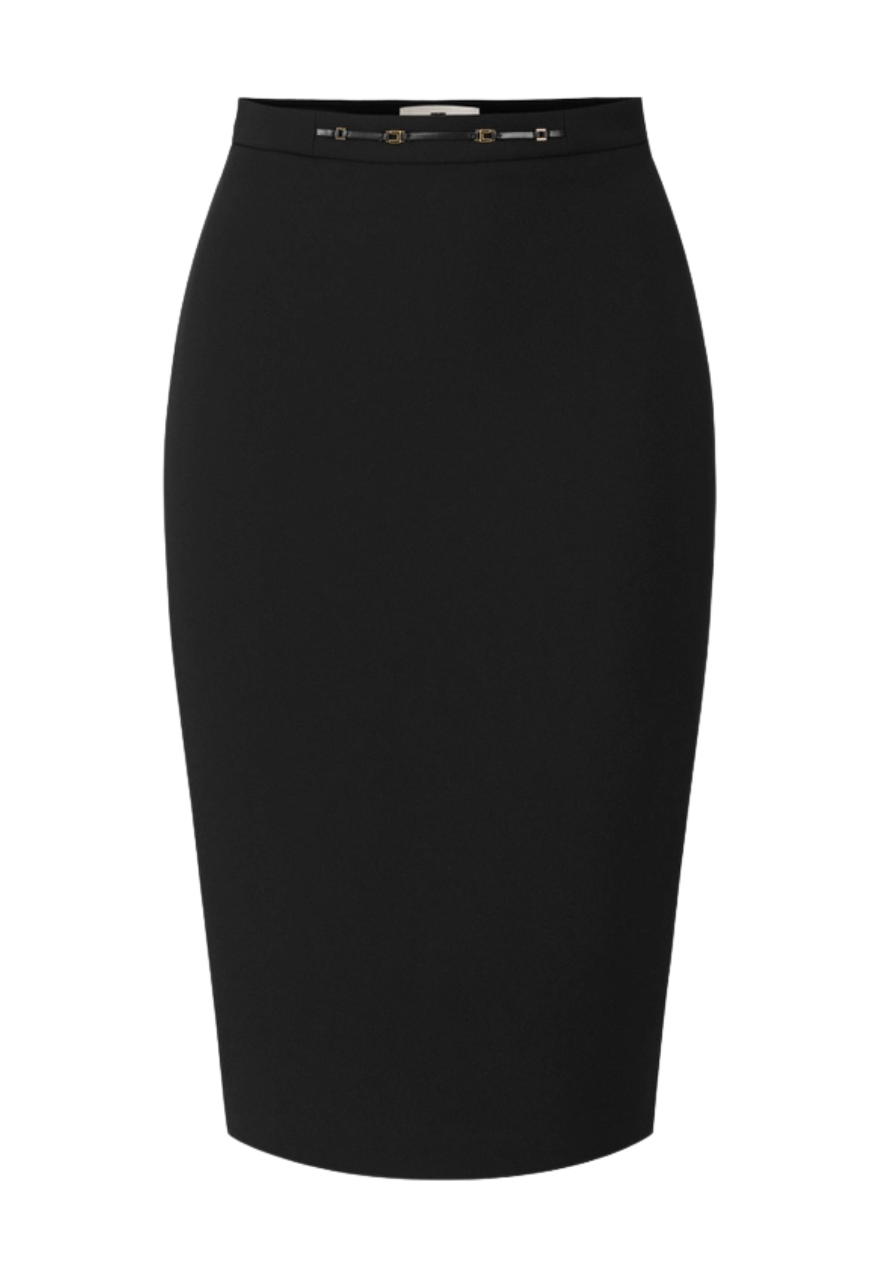Durchschnittlicher Rock Elisabetta Franchi mit Juwel Detail