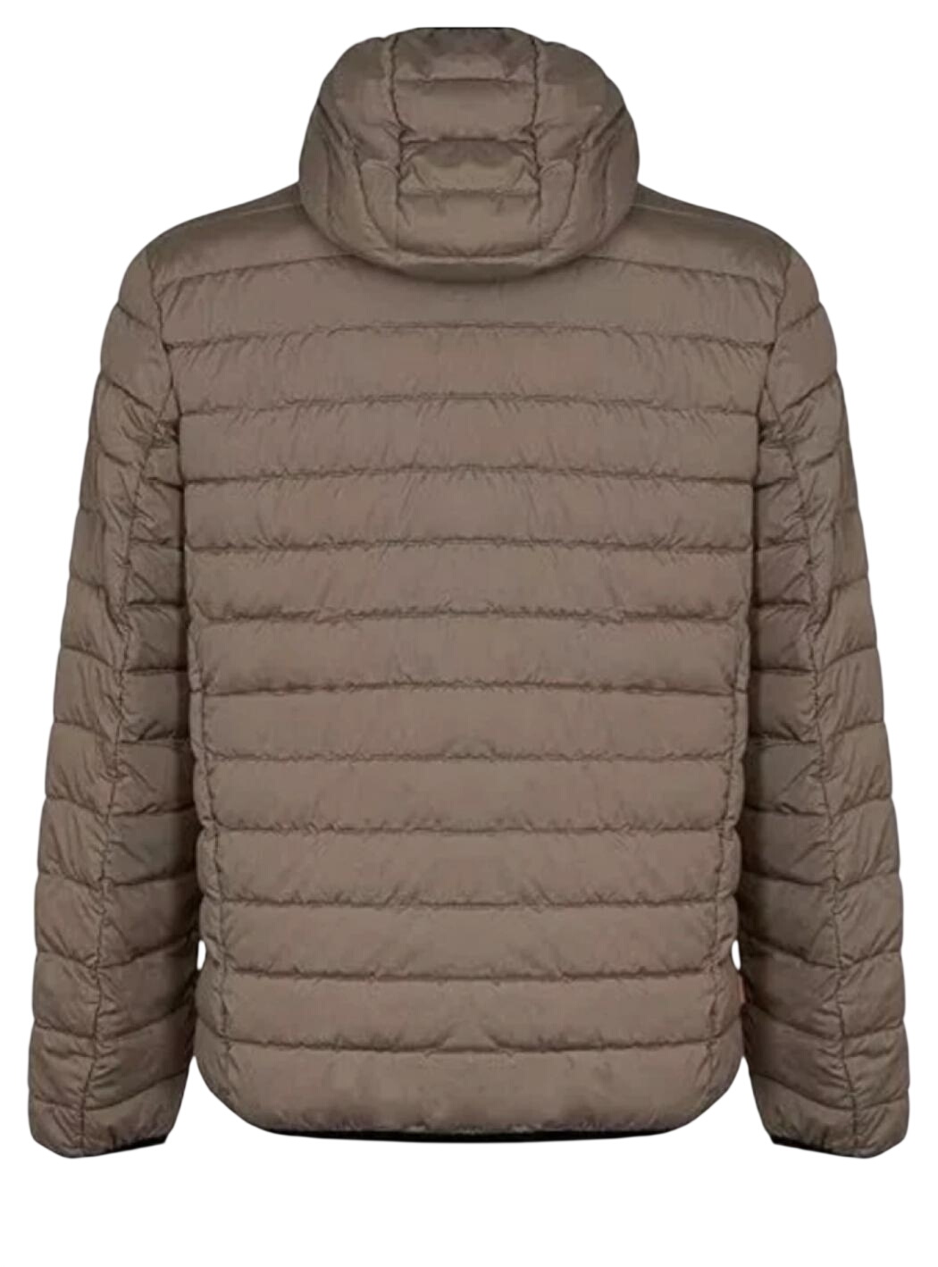 Giubbotto Uomo Suns Bape travel Fossil